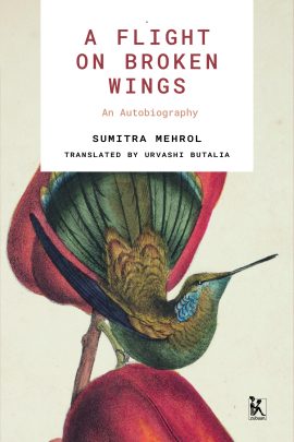 A Flight on Broken Wings: An Autobiography